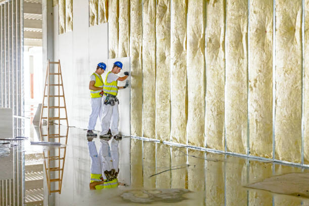 Best Attic Insulation Installation  in Brice Prairie, WI